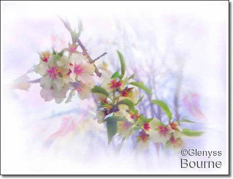 Almond Blossoms painting