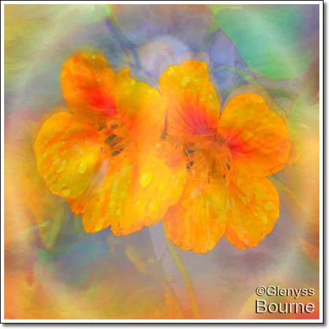 Celebration of Life! painting